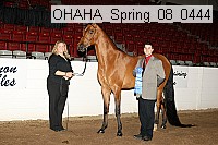 ohaha_spring_08_0444 proof