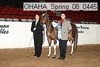 ohaha_spring_08_0445 proof