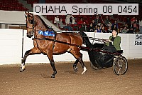 ohaha_spring_08_0454 proof