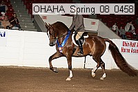 ohaha_spring_08_0458 proof