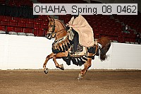 ohaha_spring_08_0462 proof