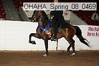 ohaha_spring_08_0469 proof