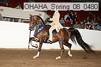 ohaha_spring_08_0480 proof