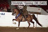 ohaha_spring_08_0482 proof