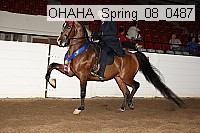 ohaha_spring_08_0487 proof