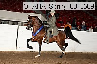 ohaha_spring_08_0509 proof