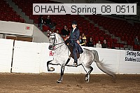 ohaha_spring_08_0511 proof