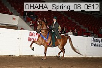 ohaha_spring_08_0512 proof