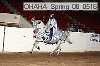 ohaha_spring_08_0516 proof