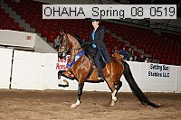 ohaha_spring_08_0519 proof