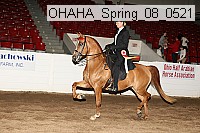 ohaha_spring_08_0521 proof