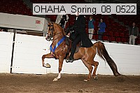 ohaha_spring_08_0522 proof