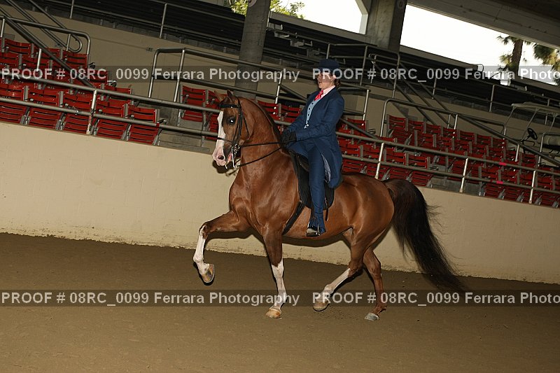 Proof 08RC_0099