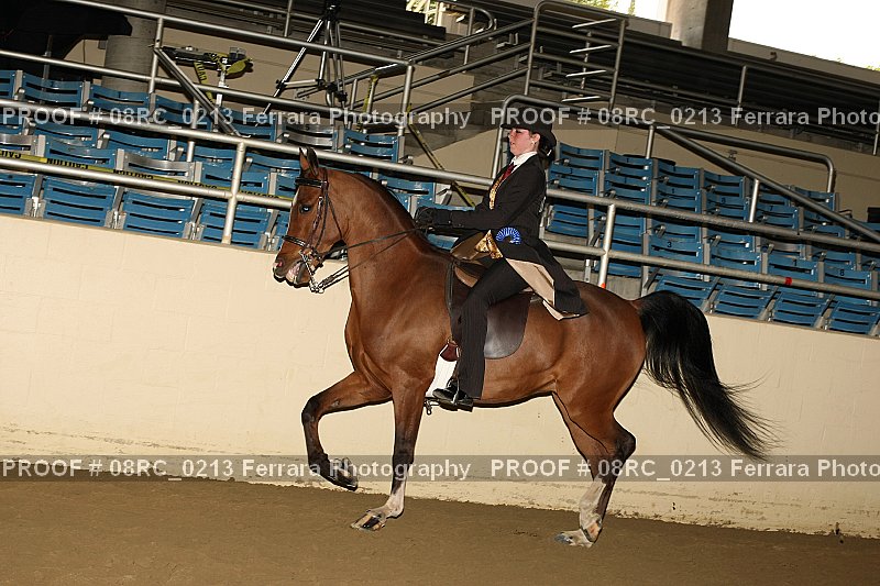 Proof 08RC_0213
