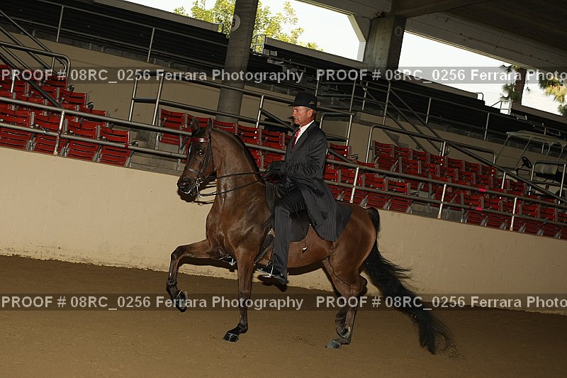 Proof 08RC_0256
