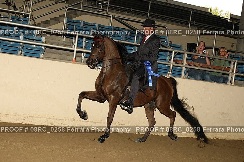 Proof 08RC_0258
