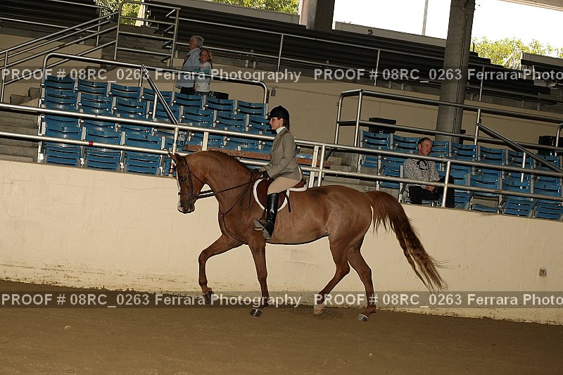 Proof 08RC_0263