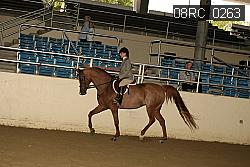 08RC_0263 proof