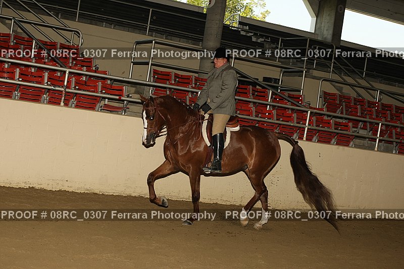 Proof 08RC_0307