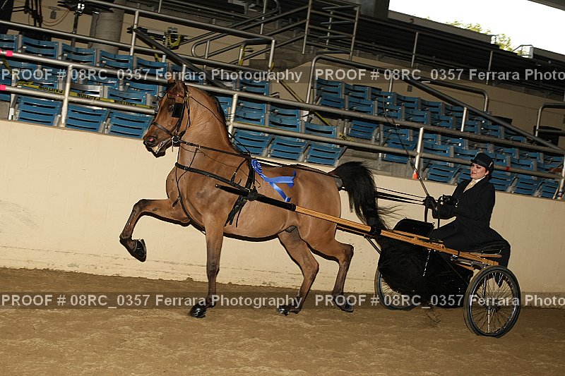 Proof 08RC_0357