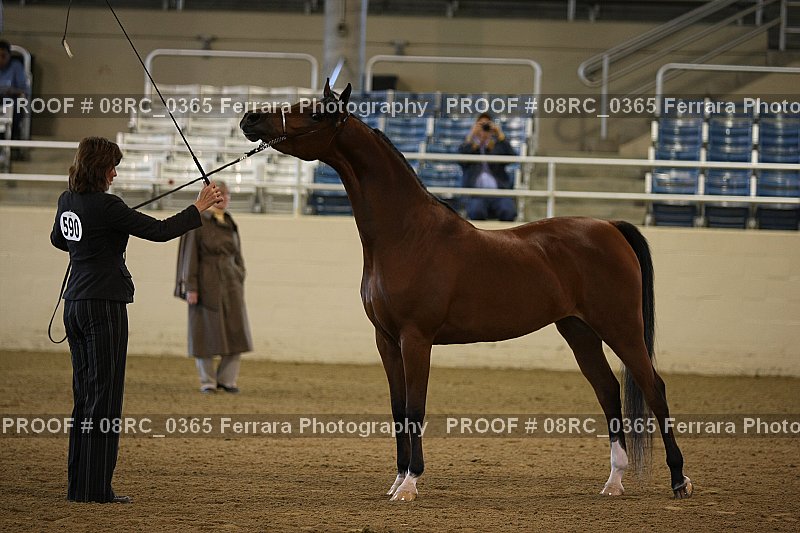 Proof 08RC_0365