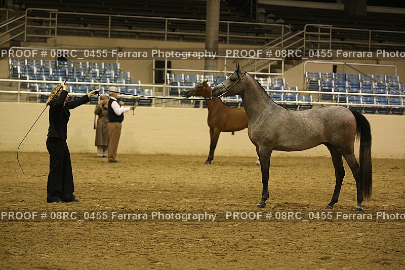 Proof 08RC_0455