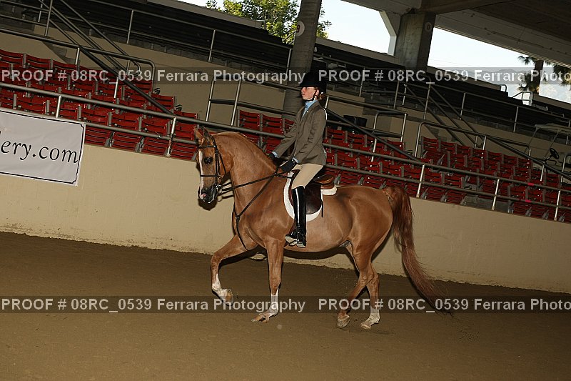 Proof 08RC_0539