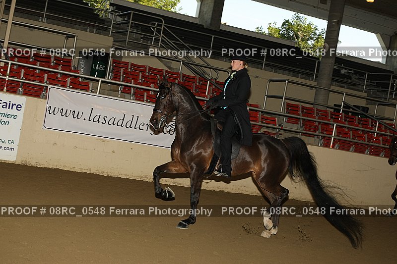Proof 08RC_0548