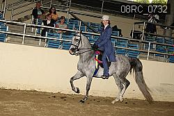 08RC_0732 proof
