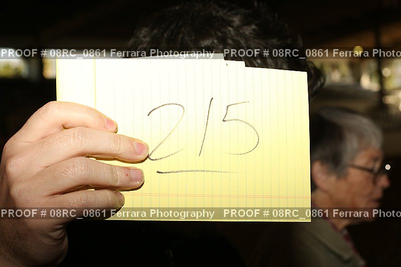 Proof 08RC_0861