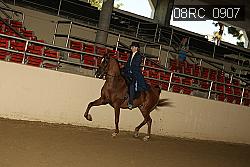 08RC_0907 proof