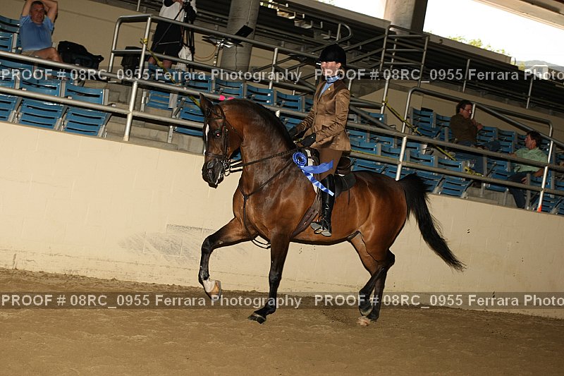 Proof 08RC_0955