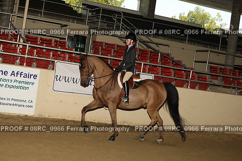 Proof 08RC_0966