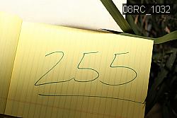 08RC_1032 proof