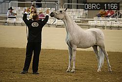 08RC_1166 proof