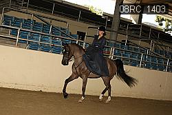08RC_1403 proof