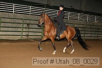 utah_08_0029 proof