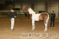 utah_08_0077 proof