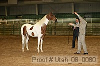 utah_08_0080 proof