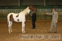 utah_08_0081 proof