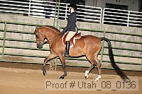 utah_08_0136 proof