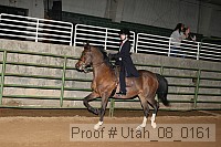 utah_08_0161 proof