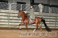 utah_08_0165 proof