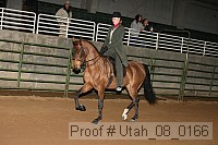 utah_08_0166 proof