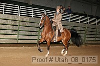 utah_08_0175 proof