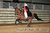 utah_08_0207 proof
