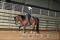 utah_08_0222 proof