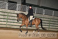utah_08_0236 proof