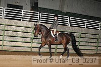 utah_08_0237 proof