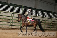 utah_08_0240 proof